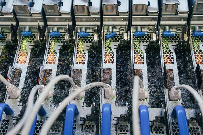 Artificial Intelligence & Deep Learning